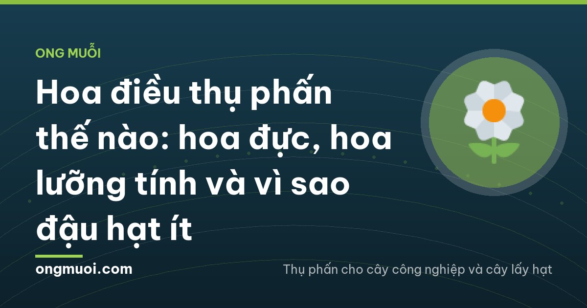 Hoa điều thụ phấn thế nào: hoa đực, hoa lưỡng tính và vì sao đậu hạt ít