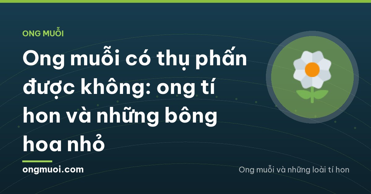 Tiny dark bee foraging on clusters of small white and lilac wildflowers at the grassy edge of a mango orchard in Dong Thap, low angle macro, bright midday light